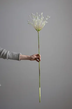Blomst - Allium H107cm Hvit
