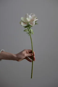 Blomst - Anemone H43cm Rosa