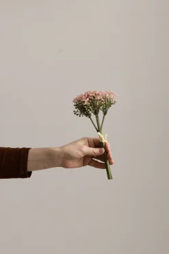 Blomst - Bergknappbundt 21cm