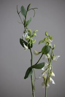 Blomst - Erteblomst H69cm Hvit