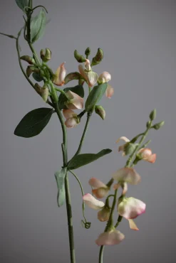 Blomst - Erteblomst H69cm Rosa