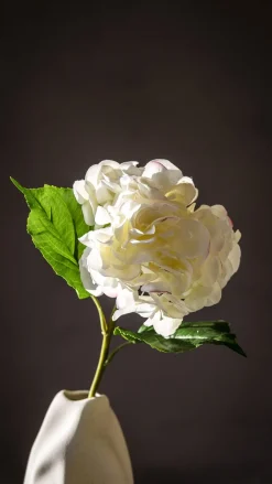 Blomst - Hortensia H55cm Hvit