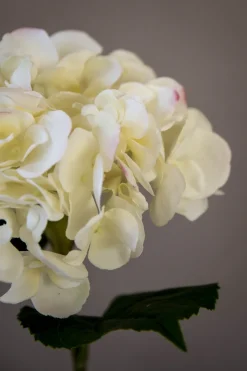 Blomst - Hortensia H55cm Hvit