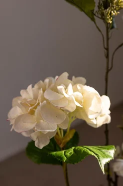 Blomst - Hortensia H55cm Hvit