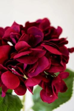 Blomst - Hortensia H55cm Rød