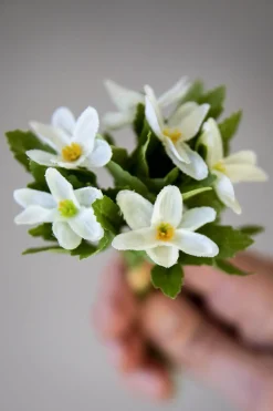 Blomst - Hvitveis H18cm