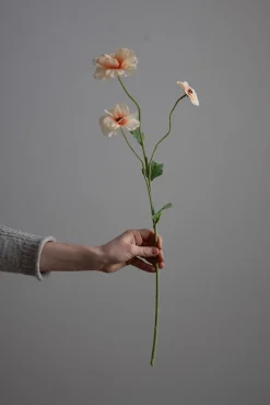 Blomst - Japansk Ranunkel H62cm