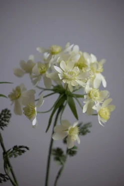 Blomst - Kjørvel H73cm