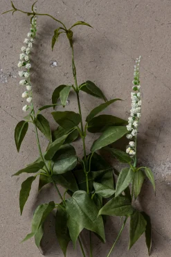 Blomst - Lavendel H70cm Hvit