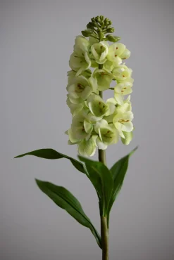 Blomst - Levkøy H70cm