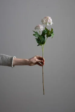 Blomst - Olvon H60cm