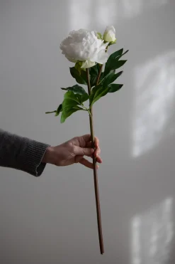 Blomst - Pion 65cm Hvit