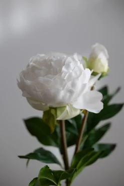 Blomst - Pion 65cm Hvit