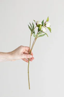 Blomst - Pion H45cm Hvit