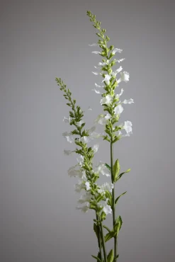 Blomst - Porselensveronika H100cm