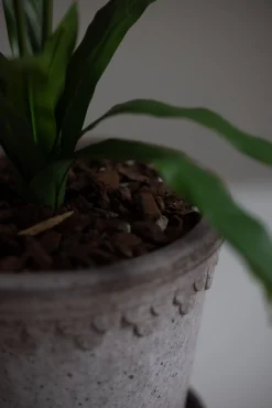 Blomst - Porselensveronika H100cm