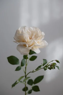 Blomst - Rose 90cm Gul