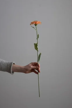 Blomst - Zinnia H45cm