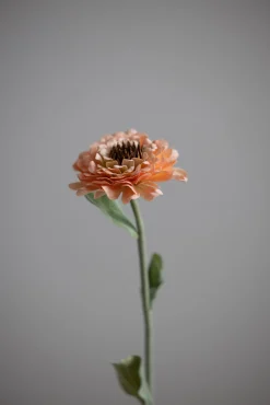Blomst - Zinnia H45cm
