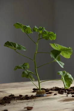 Blomsterfakir - 5cm Metall