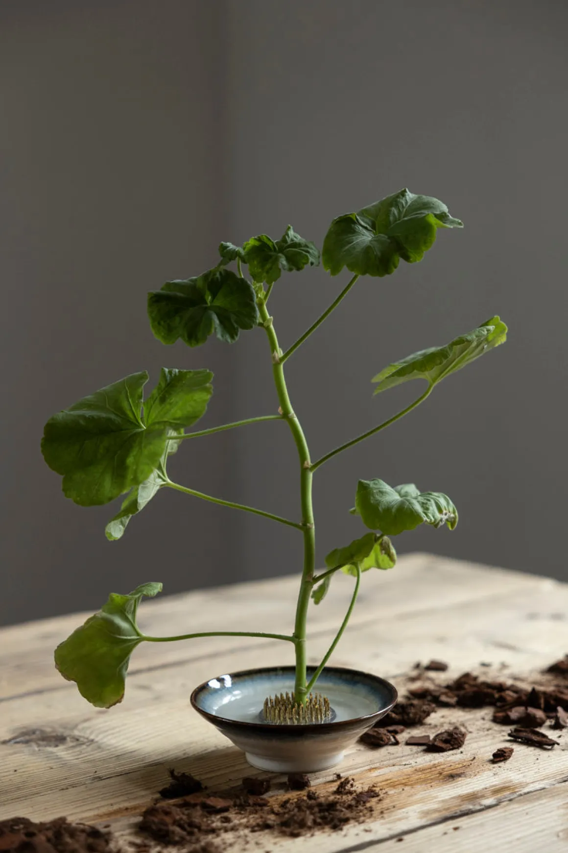 Blomsterfakir - 5cm Metall