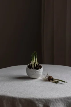 Bolle - Plaster Hvit