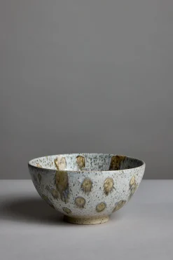 Bolle - Spring Bowl Harbor Seal