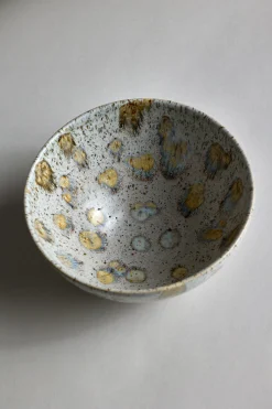 Bolle - Spring Bowl Harbor Seal