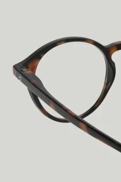 Briller - #D Tortoise