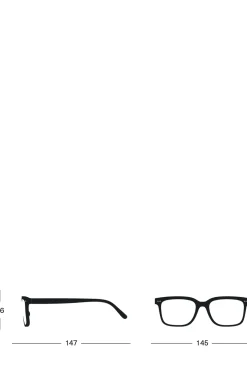 Briller - #L Tortoise