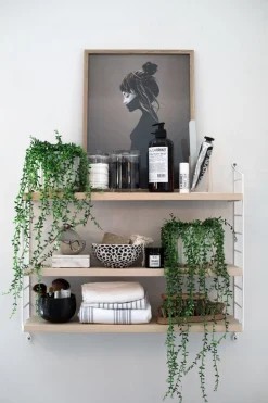 Hylle - Pocket 60x15xh50 Ask/Hvit