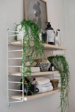 Hylle - Pocket 60x15xh50 Ask/Hvit