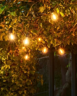 Lyslenke - Tobias 10L