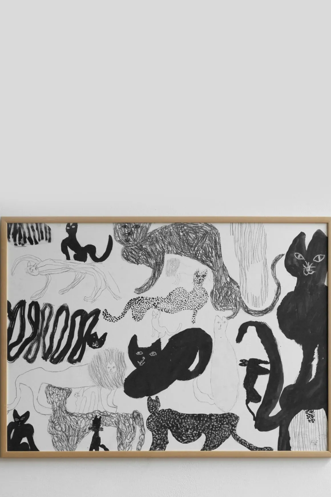 Plakat - Cats 70x50cm