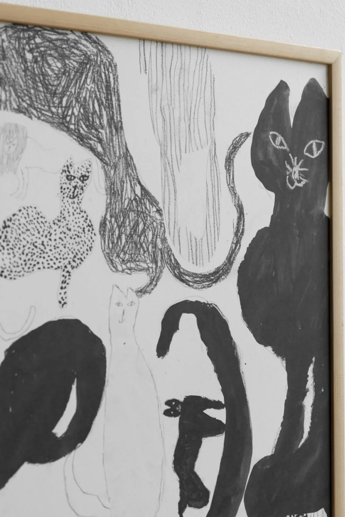 Plakat - Cats 70x50cm