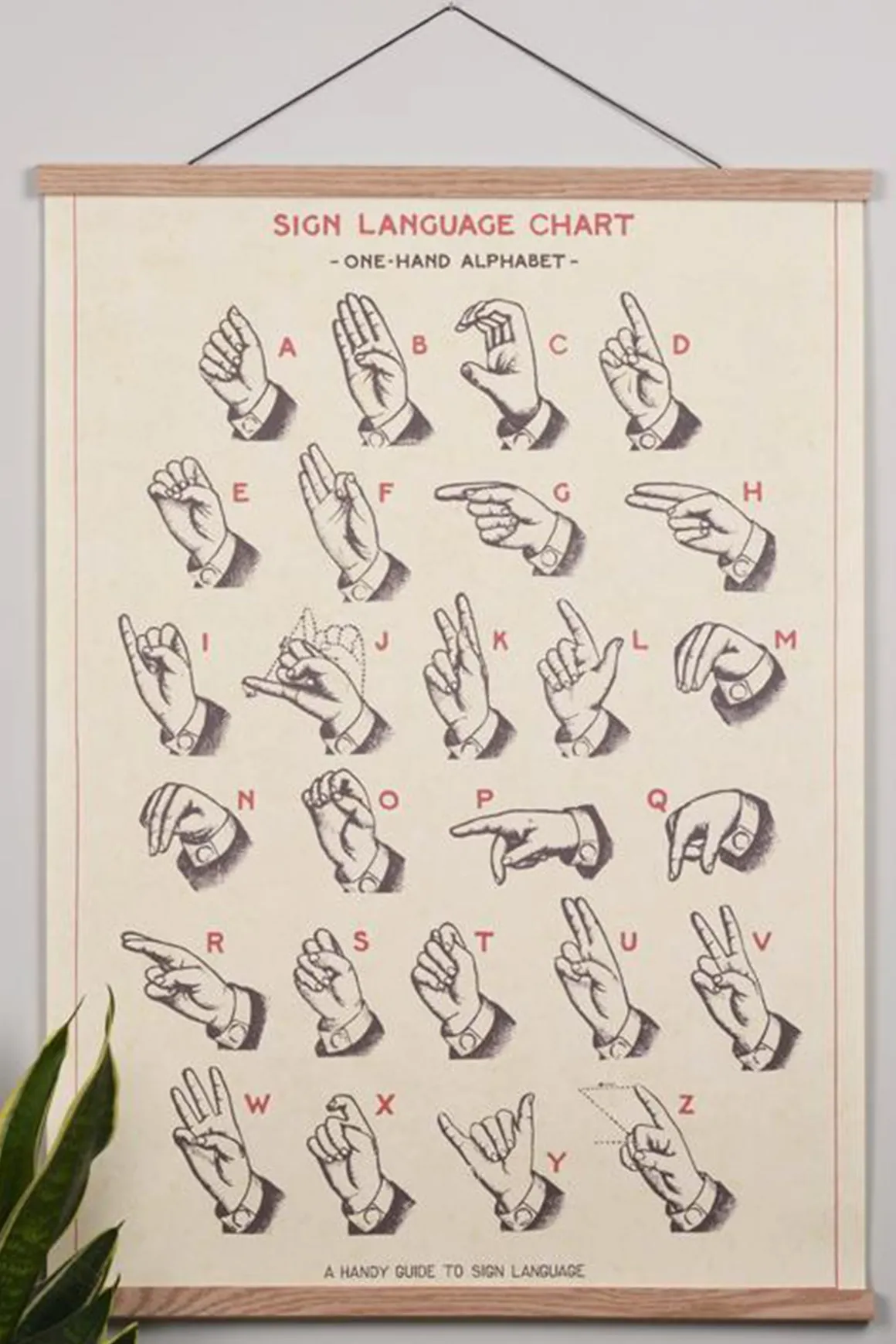 Plakatlist - Eik 31cm