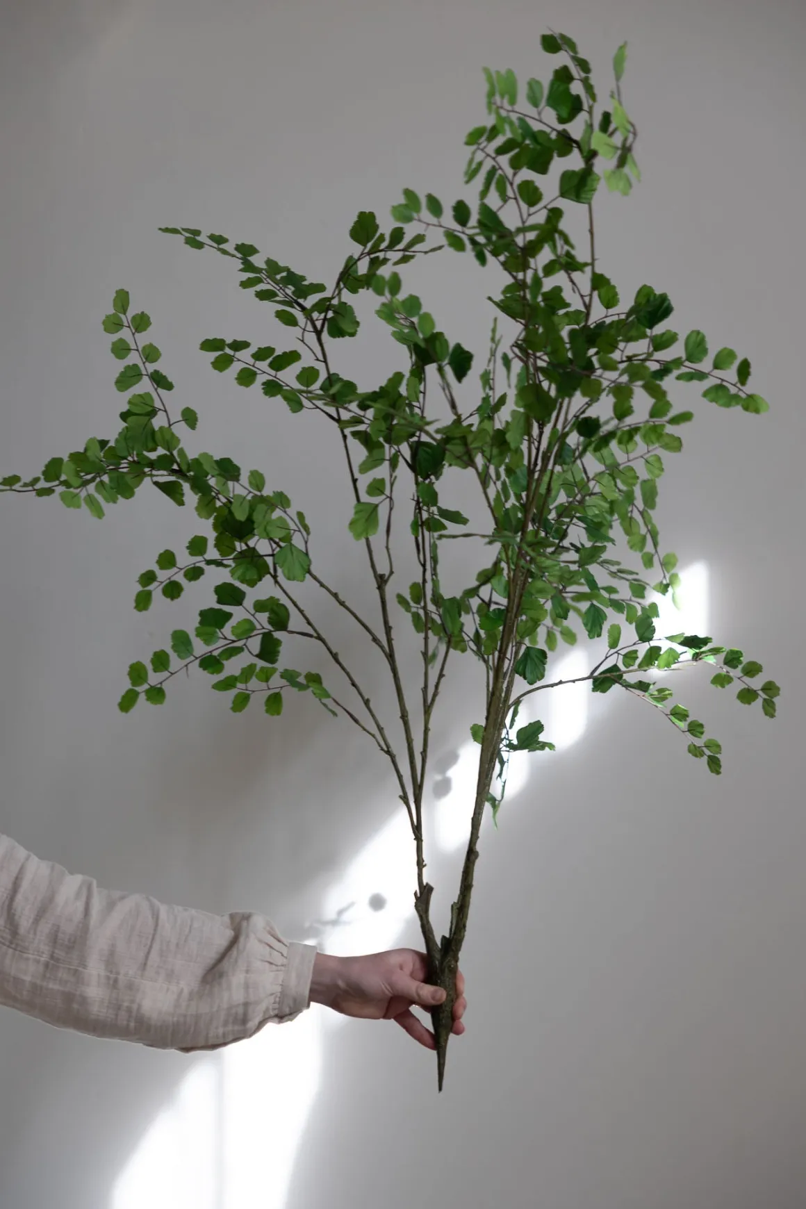 Plante - Bregne H113cm Grønn