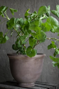 Potte - D21xH18cm Brun Terracotta