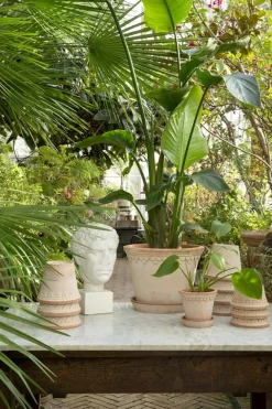 Potte - Københavner m/Skål Rose