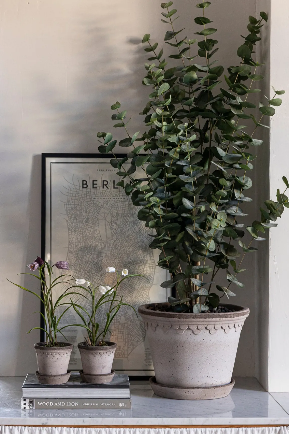 Potteplante - Eucalyptus H110cm