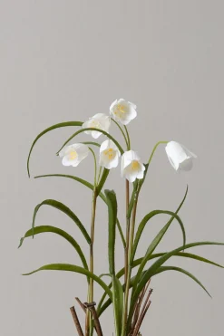 Potteplante - Frittillaria H25cm