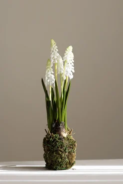 Potteplante - Perleblomst H25cm