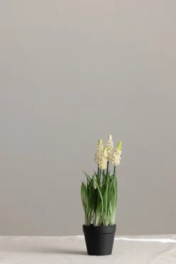 Potteplante - Perleblomst H28cm