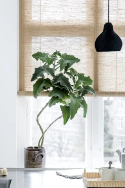 Rullegardin - Brun Plante