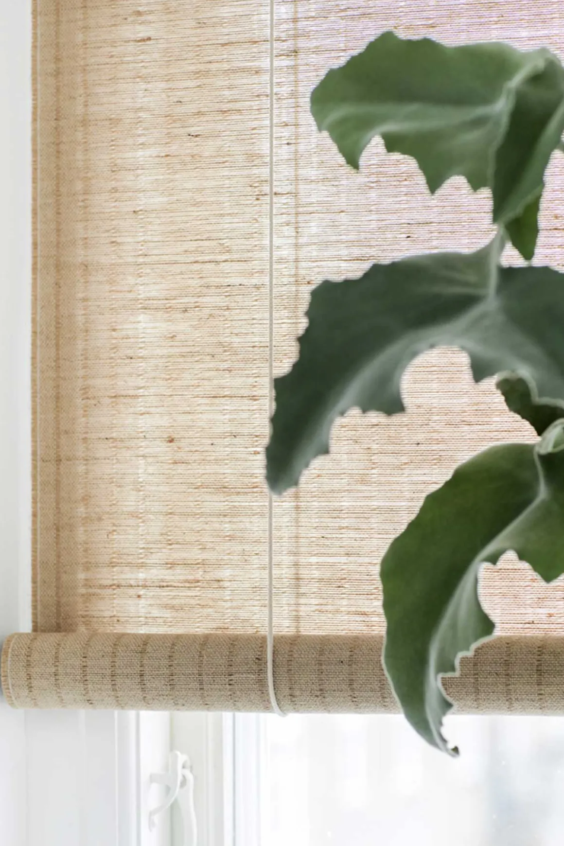 Rullegardin - Brun Plante