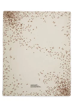 Sarti Skjerf - The Future