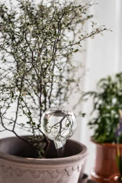 Selvvanningsglass - Olivia Rund  H26cm