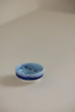 Skål - Dip Dish Dolphin