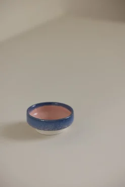 Skål - Dip Dish Ocean Flamingo