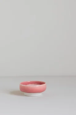 Skål - Dip Dish Red Raspberry Sorbet